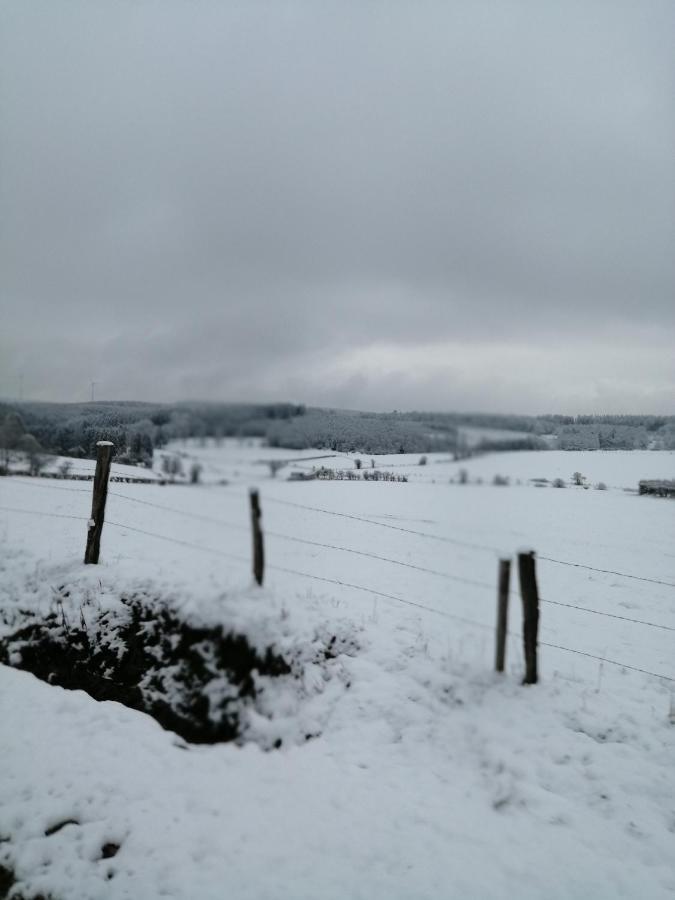Eifel Lodge ビュートゲンバッ エクステリア 写真